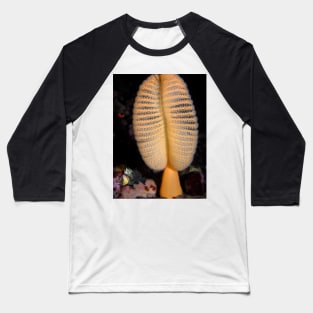 Orange Sea Pen With Quillback Rockfish Baseball T-Shirt